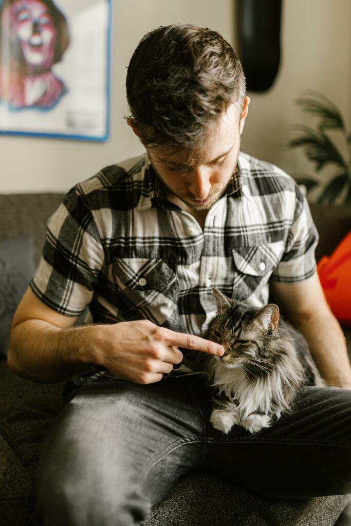 混暹羅貓認養指南：選擇最適合您家庭的愛貓
